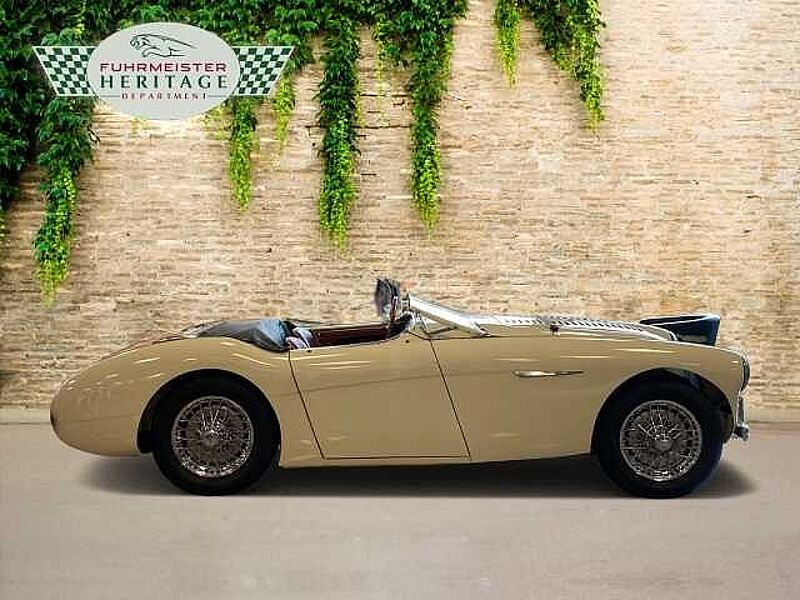 Austin Healey 100/4 100 4 Edelstahl Endschalldämpfer Leder rot