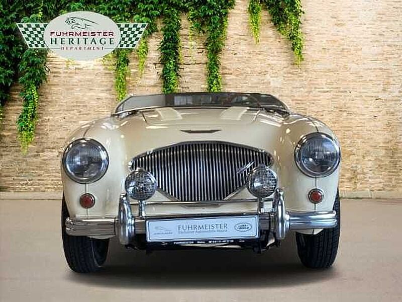 Austin Healey 100/4 100 4 Edelstahl Endschalldämpfer Leder rot